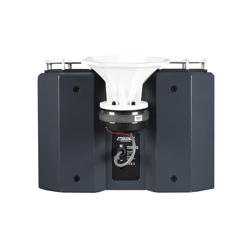 PSSO PRIME-208 Club Speaker System