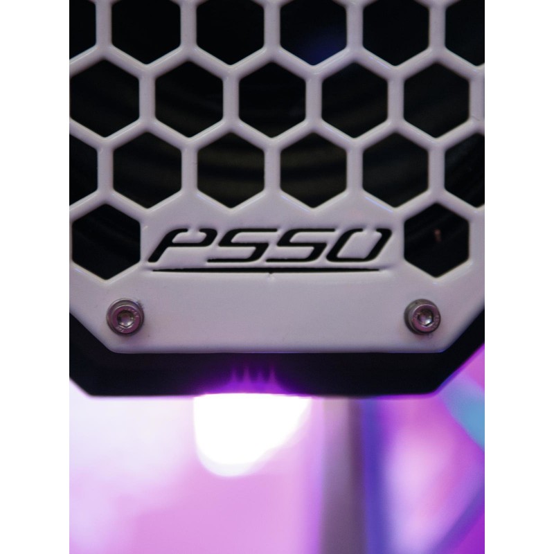 PSSO PRIME-208 Club Speaker System