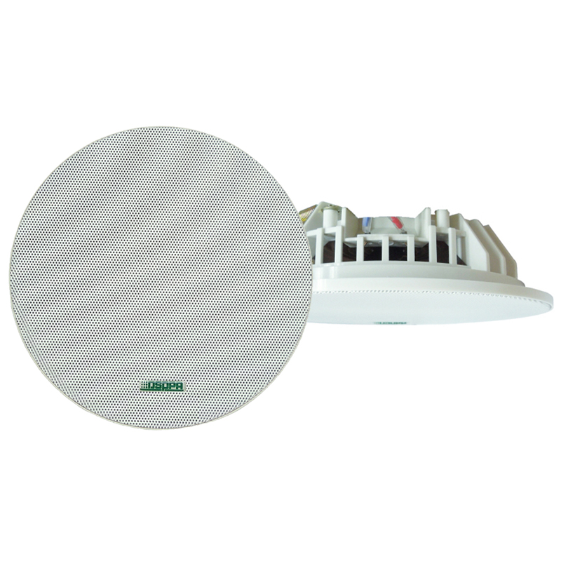 dsppa ceiling speaker